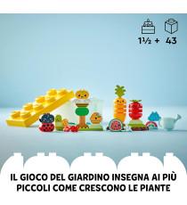 Lego Duplo - Giardino biologico - Lego 10984 con Coccinella, Ape, Frutta e Verdura Anni 1.5+ 43pz Lego Duplo - Giardino biologico - Lego 10984 con Coccinella, Ape, Frutta e Verdura Anni 1.5+ 43pz