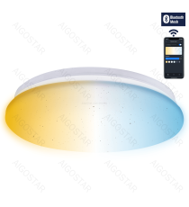 Plafoniera Smart Bluetooth MESH 12W 1325lumen CCT 3000K-6500K con telecomando misura 260xH58mm compatibile con Alexa e Google Plafoniera Smart Bluetooth MESH 12W 1325lumen CCT 3000K-6500K con telecomando misura 260xH58mm compatibile con Alexa e Google