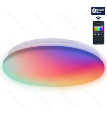 Plafoniera Smart Bluetooth MESH 12W 1325lumen RGB+CCT 3000K-6500K con telecomando 260xH58mm compatibile con Alexa e Google Plafoniera Smart Bluetooth MESH 12W 1325lumen RGB+CCT 3000K-6500K con telecomando 260xH58mm compatibile con Alexa e Google