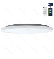 Plafoniera Smart Bluetooth MESH 24W 2280Lumen RGB+CCT 3000K-6500K con telecomando 290xH25mm compatibile con Alexa e Google Plafoniera Smart Bluetooth MESH 24W 2280Lumen RGB+CCT 3000K-6500K con telecomando 290xH25mm compatibile con Alexa e Google