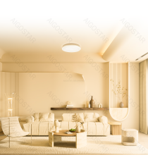 Plafoniera Smart stellata 27W WiFi WB 27W 2760Lumen CCT 24W+RGB 3W 3000K-6500K 400x65mm compatibile con Alexa e Google Plafoniera Smart stellata 27W WiFi WB 27W 2760Lumen CCT 24W+RGB 3W 3000K-6500K 400x65mm compatibile con Alexa e Google