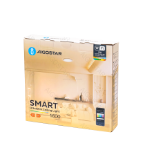 Plafoniera Smart ultrasottile 19W WiFi WB 1600Lumen CCT 15W+RGB 4W 2700K-6500K D238xH27mm compatibile con Alexa e Google Plafoniera Smart ultrasottile 19W WiFi WB 1600Lumen CCT 15W+RGB 4W 2700K-6500K D238xH27mm compatibile con Alexa e Google