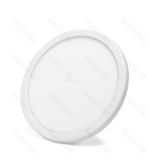Plafoniera Smart ultrasottile 22W WiFi WB 1900Lumen CCT 18W+RGB 4W 2700K-6500K D295xH27mm compatibile con Alexa e Google Plafoniera Smart ultrasottile 22W WiFi WB 1900Lumen CCT 18W+RGB 4W 2700K-6500K D295xH27mm compatibile con Alexa e Google