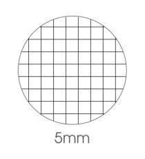 Blocco note Export - 5mm - 150 x 210mm - 50gr - 50 fogli - BM Blocco note Export - 5mm - 150 x 210mm - 50gr - 50 fogli - BM