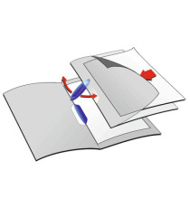 Cartelline con clip Swingclip - PPL - 22x31 cm - clip colorata - trasparente - Durable - conf. 5 pezzi