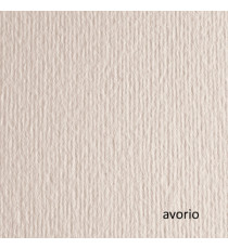 Cartoncino Elle Erre - 70x100cm - 220gr - avorio 101 - Fabriano - blister 10 fogli