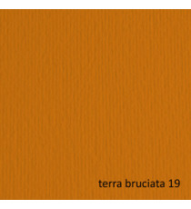 Cartoncino Elle Erre - 70x100cm - 220gr - terra bruciata 119 - Fabriano - blister 10 fogli Cartoncino Elle Erre - 70x100cm - 220gr - terra bruciata 119 - Fabriano - blister 10 fogli