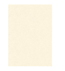 Diplomi in pergamena - stampa offset - A4 - 160 gr - neutro avorio - Kartos - conf. 10 pezzi Diplomi in pergamena - stampa offset - A4 - 160 gr - neutro avorio - Kartos - conf. 10 pezzi