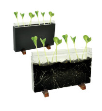 Contenitore Esplora il sottosuolo - 30 x 19 x 4 cm - Cwr Contenitore Esplora il sottosuolo - 30 x 19 x 4 cm - Cwr