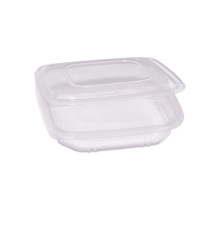 Contenitori in PP - con coperchio incernierato - 21,5 x 21,5 x 3,4 cm - Europack - pack 50 pezzi