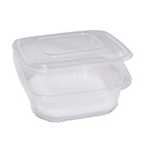 Contenitori in PP - con coperchio incernierato - 21,5 x 21,5 x 6,9 cm - Europack - conf. 50 pezzi Contenitori in PP - con coperchio incernierato - 21,5 x 21,5 x 6,9 cm - Europack - conf. 50 pezzi