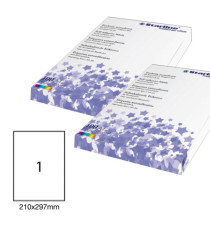 Etichette adesive - in carta - permanenti - 210 x 297 mm - 1 et/fg - 100 fogli - bianco - Starline