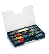 Valigetta portaminuterie ProOrganizer 24 - 51 x 33 x 6 cm - PPL - trasparente/nero - Terry