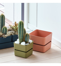 Vaso Veleta - 0,75 L - verde oliva - TeraPlast