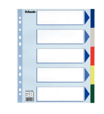Separatore - 5 tasti colorati - PP - A4 maxi - 24,5x29,7 cm - multicolore - Esselte Separatore - 5 tasti colorati - PP - A4 maxi - 24,5x29,7 cm - multicolore - Esselte