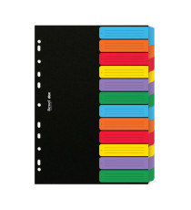 Separatore Dox - 12 tasti neutri colorati - cartoncino 240 gr - A4 - multicolore - Esselte Dox