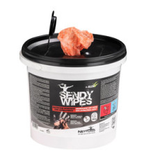 Salviette umidificate Sandy Wipes - in secchiello - 26 x 27 cm - Nettuno - conf. 100 pezzi Salviette umidificate Sandy Wipes - in secchiello - 26 x 27 cm - Nettuno - conf. 100 pezzi