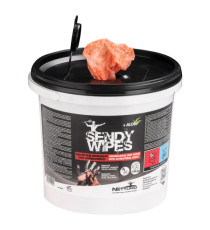 Salviette umidificate Sandy Wipes - in secchiello - 26 x 27 cm - Nettuno - conf. 100 pezzi Salviette umidificate Sandy Wipes - in secchiello - 26 x 27 cm - Nettuno - conf. 100 pezzi