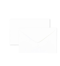 Scatola 100 biglietti + 100 buste - Bristol - bianco - 75 x 112 mm - Rex Sadoch