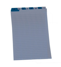 Schede - rubrica A/Z - 21x15 cm (verticale) - bianco - Edipro Schede - rubrica A/Z - 21x15 cm (verticale) - bianco - Edipro