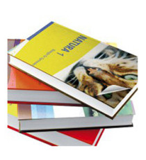 Plastica adesiva - 45 cm x 15 m - trasparente opaco - Dc-Fix Plastica adesiva - 45 cm x 15 m - trasparente opaco - Dc-Fix