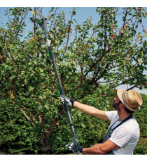 Potatore telescopico - a batteria PT20 - Verdemax