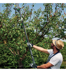 Potatore telescopico - a batteria PT20 - Verdemax