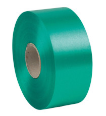 Nastro liscio 6800 - in polipropilene - 50mmx100mt - verde bandiera 09 - Brizzolari