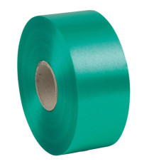 Nastro liscio 6800 - in polipropilene - 50mmx100mt - verde bandiera 09 - Brizzolari