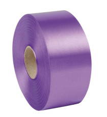 Nastro liscio 6800 - in polipropilene - 50mmx100mt - viola 17 - Brizzolari Nastro liscio 6800 - in polipropilene - 50mmx100mt - viola 17 - Brizzolari