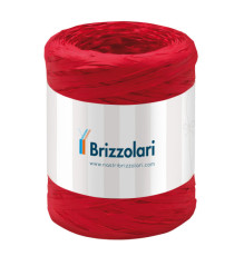 Nastro Rafia sintetica - rosso 07 - 5mmx200mt - Brizzolari