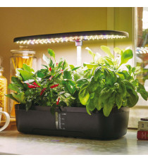 Orto idroponico indoor - 20 x 18 x 40 cm - Verdemax