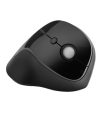 Mouse Pro Fit Ergo wireless verticale - Kensington
