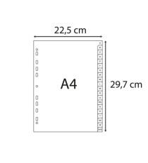 Intercalare alfabetico - PPL riciclato - A4 - A-Z - grigio - Exacompta Intercalare alfabetico - PPL riciclato - A4 - A-Z - grigio - Exacompta