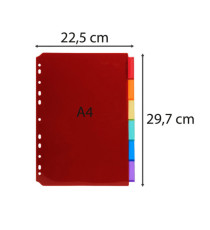 Intercalari neutri - PPL - A4 - trasparente - 6 posizioni - Exacompta Intercalari neutri - PPL - A4 - trasparente - 6 posizioni - Exacompta