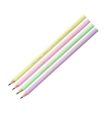 Matita Evolution Pastel - gradazione HB - colori assortiti - Bic - conf. 12 pezzi Matita Evolution Pastel - gradazione HB - colori assortiti - Bic - conf. 12 pezzi