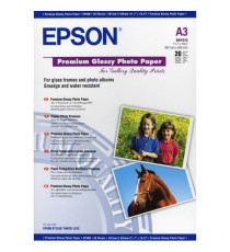 Epson - Carta fotografica lucida Premium - C13S041315 Epson - Carta fotografica lucida Premium - C13S041315