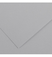 Foglio Colorline - 70x100 cm - 220 gr - grigio chiaro - Canson Foglio Colorline - 70x100 cm - 220 gr - grigio chiaro - Canson