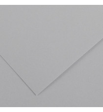 Foglio Colorline - 70x100 cm - 220 gr - grigio chiaro - Canson Foglio Colorline - 70x100 cm - 220 gr - grigio chiaro - Canson