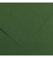 Foglio Colorline - 70x100 cm - 220 gr - verde abete - Canson Foglio Colorline - 70x100 cm - 220 gr - verde abete - Canson