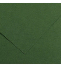 Foglio Colorline - 70x100 cm - 220 gr - verde abete - Canson Foglio Colorline - 70x100 cm - 220 gr - verde abete - Canson