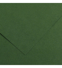 Foglio Colorline - 70x100 cm - 220 gr - verde abete - Canson Foglio Colorline - 70x100 cm - 220 gr - verde abete - Canson