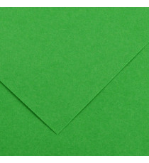 Foglio Colorline - 70x100 cm - 220 gr - verde brillante - Canson