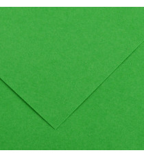 Foglio Colorline - 70x100 cm - 220 gr - verde brillante - Canson