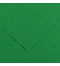 Foglio Colorline - 70x100 cm - 220 gr - verde vivo - Canson Foglio Colorline - 70x100 cm - 220 gr - verde vivo - Canson