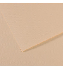 Foglio Mi-Teintes - A4 - 160 gr - conchiglia - Canson