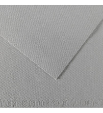 Foglio Mi-Teintes - A4 - 160 gr - grigio flanella - Canson Foglio Mi-Teintes - A4 - 160 gr - grigio flanella - Canson