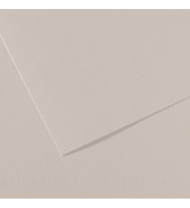 Foglio Mi-Teintes - A4 - 160 gr - grigio perla - Canson Foglio Mi-Teintes - A4 - 160 gr - grigio perla - Canson