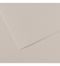 Foglio Mi-Teintes - A4 - 160 gr - grigio perla - Canson Foglio Mi-Teintes - A4 - 160 gr - grigio perla - Canson
