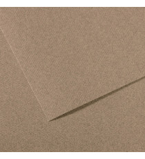 Foglio Mi-Teintes - A4 - 160 gr - grigio screziato - Canson Foglio Mi-Teintes - A4 - 160 gr - grigio screziato - Canson